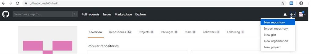 Create New Repository